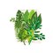 Prima Marketing Inc Leaf Embellishments - Evergreen 655350635633